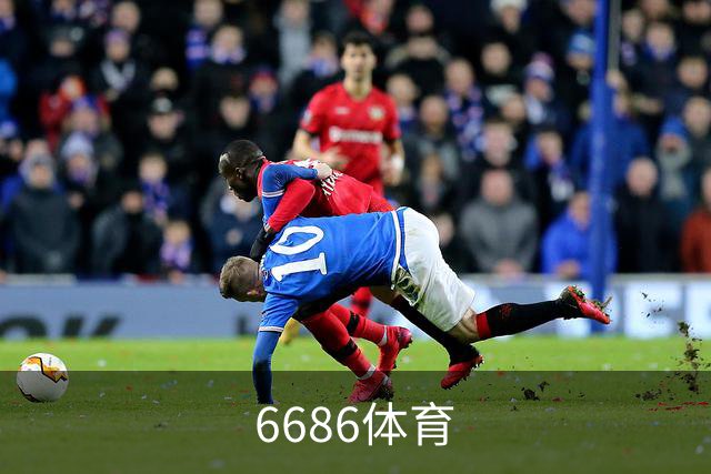 6686体育公司介绍图